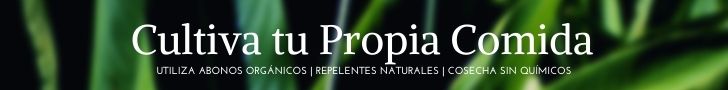 bannerCultiva tu Propia Comida bannerCultiva tu Propia Comida